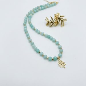 Conjunto Coral